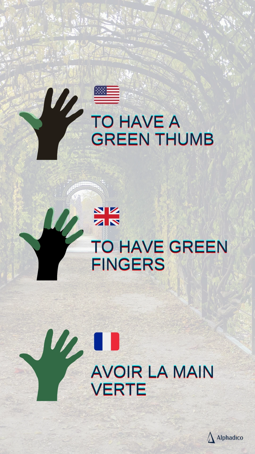 localisation-example-main-verte-alphadico US: to have a green thumb. UK: to have green fingers. FR: avoir la main verte. Examples of localised keywords with SEO localisation.
