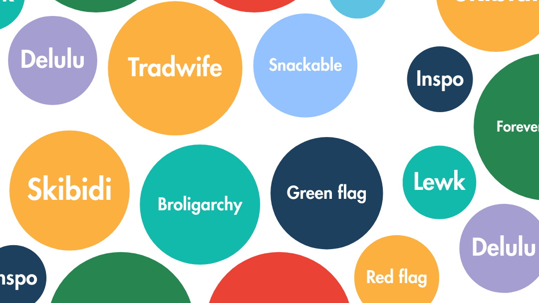 Cambridge Dictionary - New words August 2025 Skibidi, tradwife, delulu, inspi, broligarchy, etc.